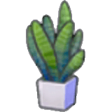 Potted plant (any)