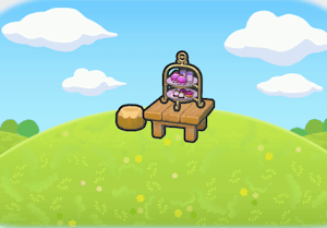 Elegant daytime treats