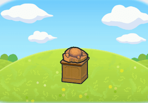 Skull Fossil display habitat — attracts 1 Pokémon in Pokopia