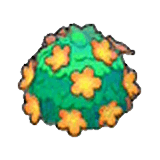 Adorable hedge (orange)