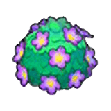 Adorable hedge (purple)