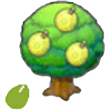 Aspear Seeds item in Pokémon Pokopia