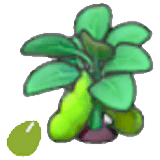 Bean seeds item in Pokémon Pokopia