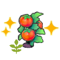 Blooming Tomato plant (Grow) item in Pokémon Pokopia