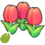 Cute-flower seeds item in Pokémon Pokopia