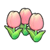 Cute flower (pink) item in Pokémon Pokopia