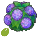 Damp-hedge seeds item in Pokémon Pokopia