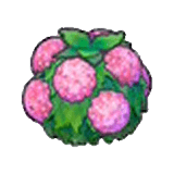 Damp hedge (pink) item in Pokémon Pokopia
