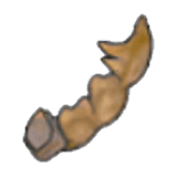 Despot Fossil (tail)