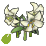 Elegant-flower seeds item in Pokémon Pokopia
