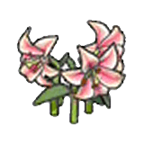 Elegant flower (pink)