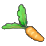 Fresh carrot