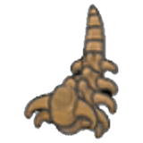 Headbutt Fossil (tail)