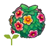 Healthy hedge sapling