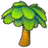 Large palm tree