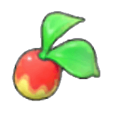 Leppa Berry