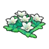 Mountain flowers (white) item in Pokémon Pokopia