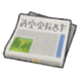 Newspaper