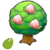 Pecha Seeds item in Pokémon Pokopia
