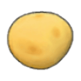 Potato