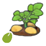 Potato seeds item in Pokémon Pokopia