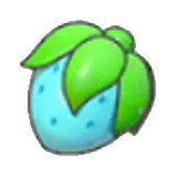 Rawst Berry