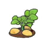 Ripe potato plant item in Pokémon Pokopia
