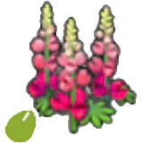 Robust-flower seeds item in Pokémon Pokopia