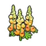 Robust flower (orange)