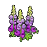 Robust flower (purple)