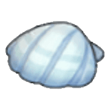 Seashell