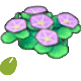 Seashore-flower seeds item in Pokémon Pokopia