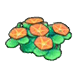 Seashore flowers (orange) item in Pokémon Pokopia