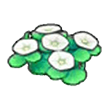 Seashore flowers (white) item in Pokémon Pokopia