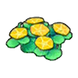 Seashore flowers (yellow) item in Pokémon Pokopia
