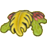 Seaweed (outdoor) item in Pokémon Pokopia