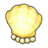 Shell lamp