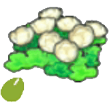 Skyland-flower seeds item in Pokémon Pokopia