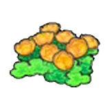 Skyland flowers (orange)