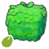 Square-plant seeds item in Pokémon Pokopia
