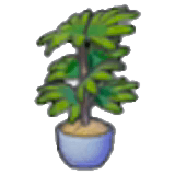 Tall potted plant