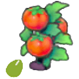 Tomato seeds item in Pokémon Pokopia