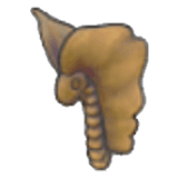 Tundra Fossil (head)