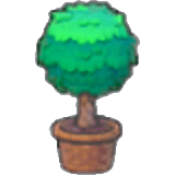 Twisted potted plant