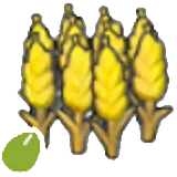 Wheat seeds item in Pokémon Pokopia