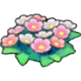 Wildflowers