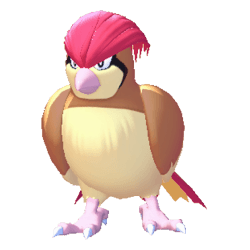 Pidgeotto