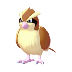 Pidgey