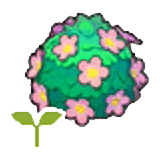 Adorable hedge sapling item in Pokémon Pokopia