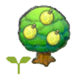 Aspear tree sapling item in Pokémon Pokopia